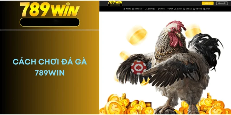 Cách Tham Gia Đá Gà Trực Tuyến Tại 789WIN