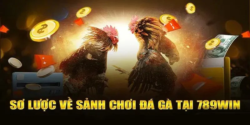 Sơ Lược Về Sảnh Đá Gà Tại 789WIN